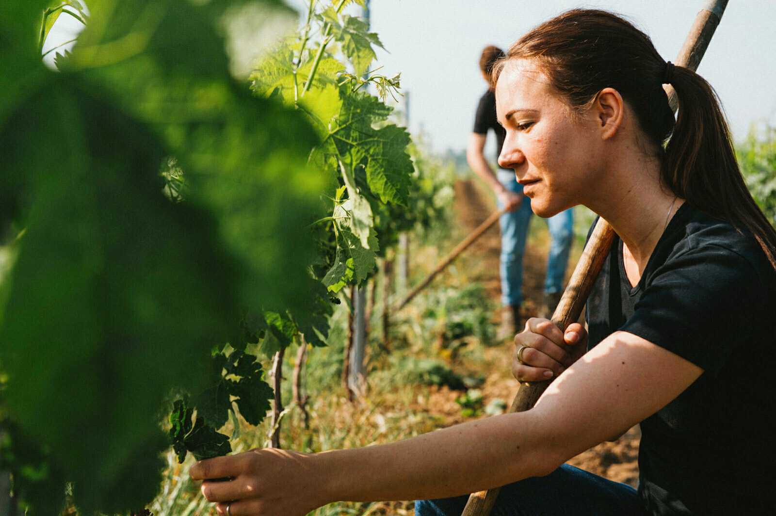 Bianka and Daniel Schmitt in the vineyard