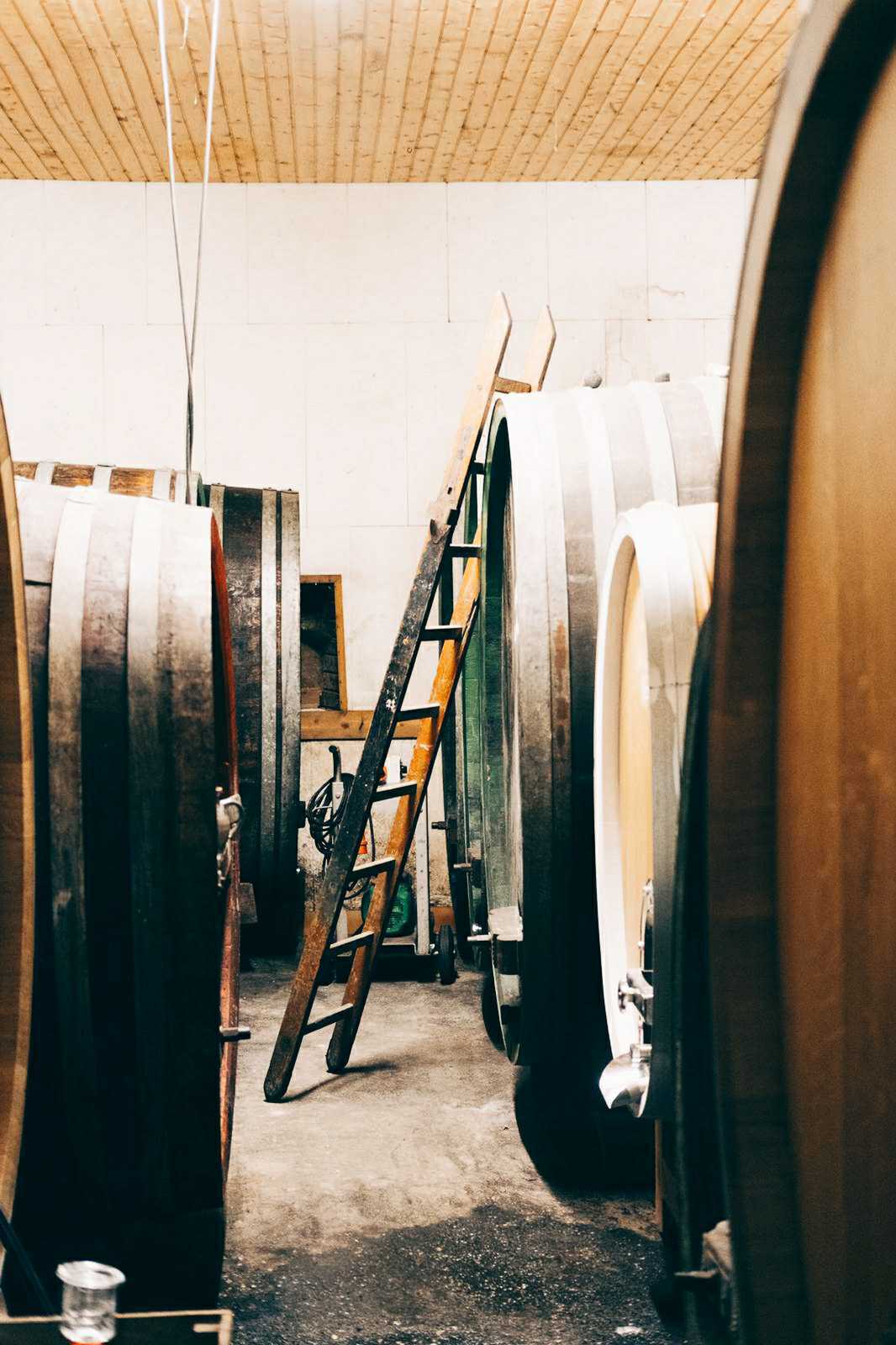 marto wines in the cellar