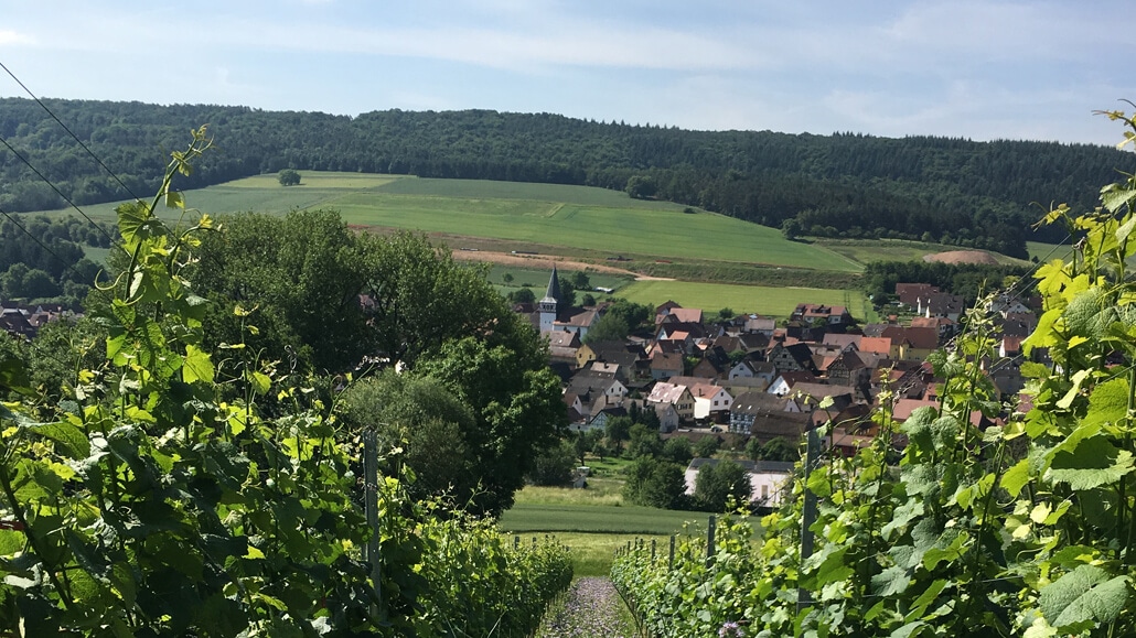 winzer_3