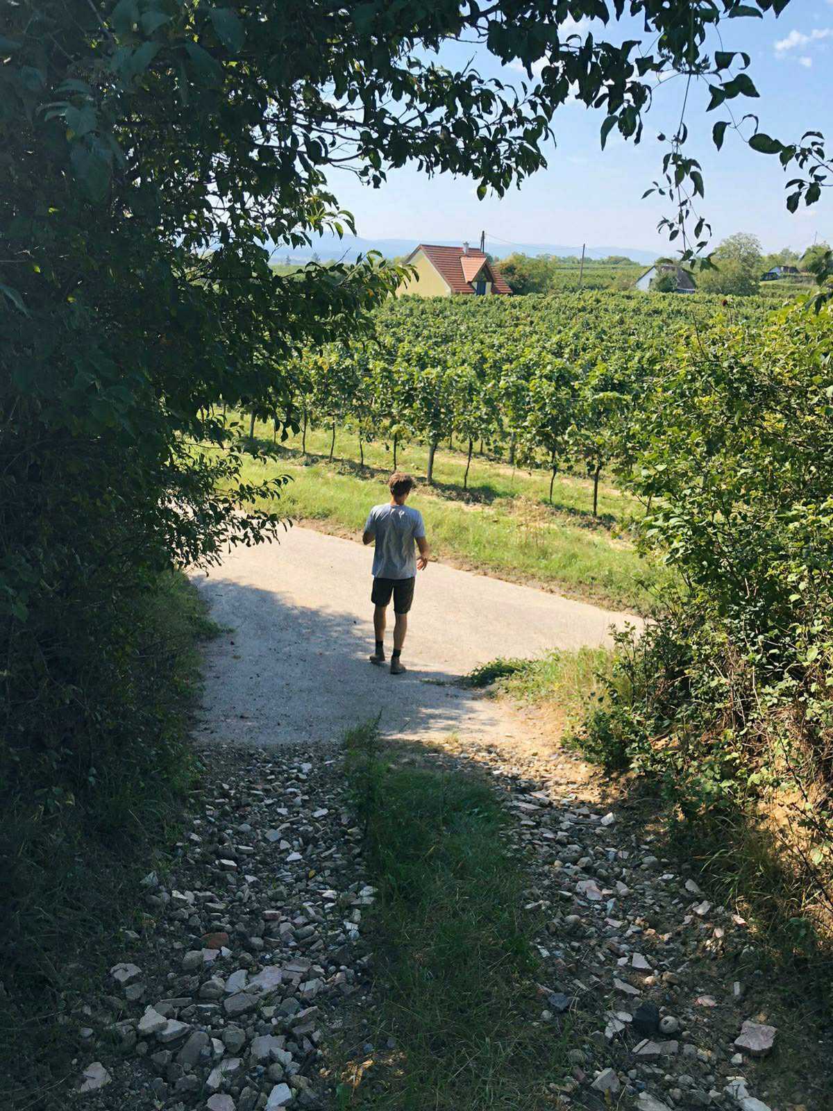 Malinga wines christoph heiss weingarten