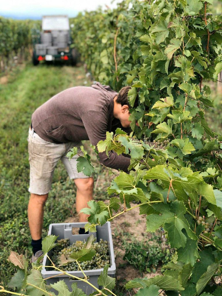 Malinga wines christoph heiss