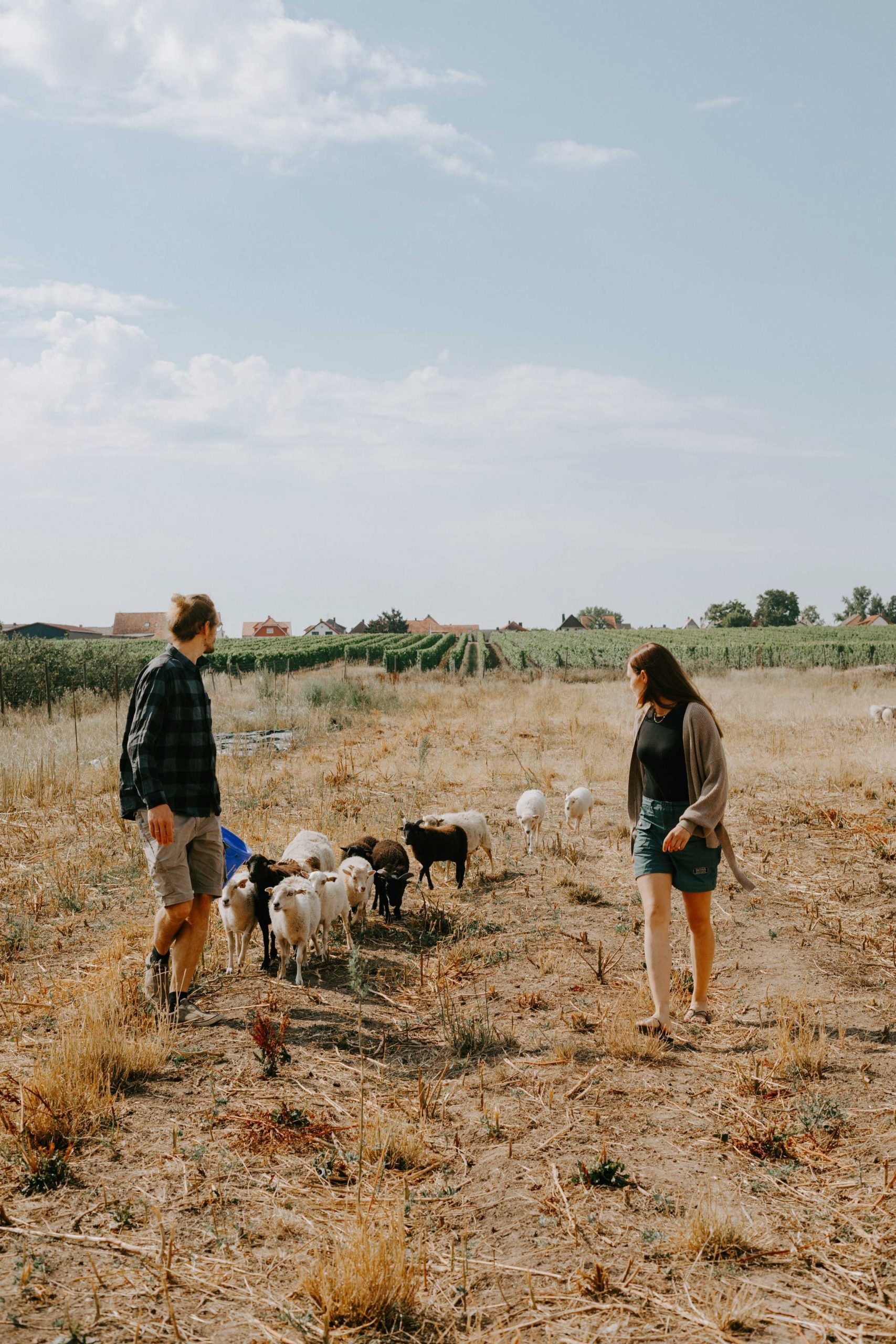 Mira Wolf with dog in vineyard