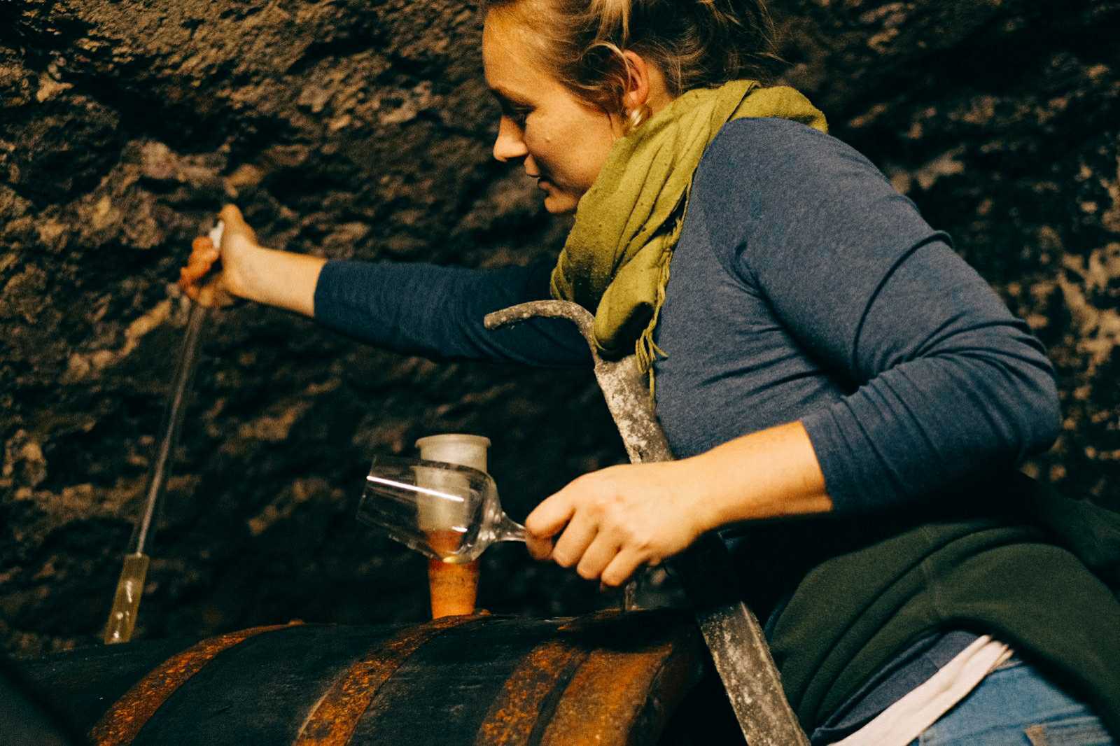 Piri in her wine cellar, updates from Piri, harvesting