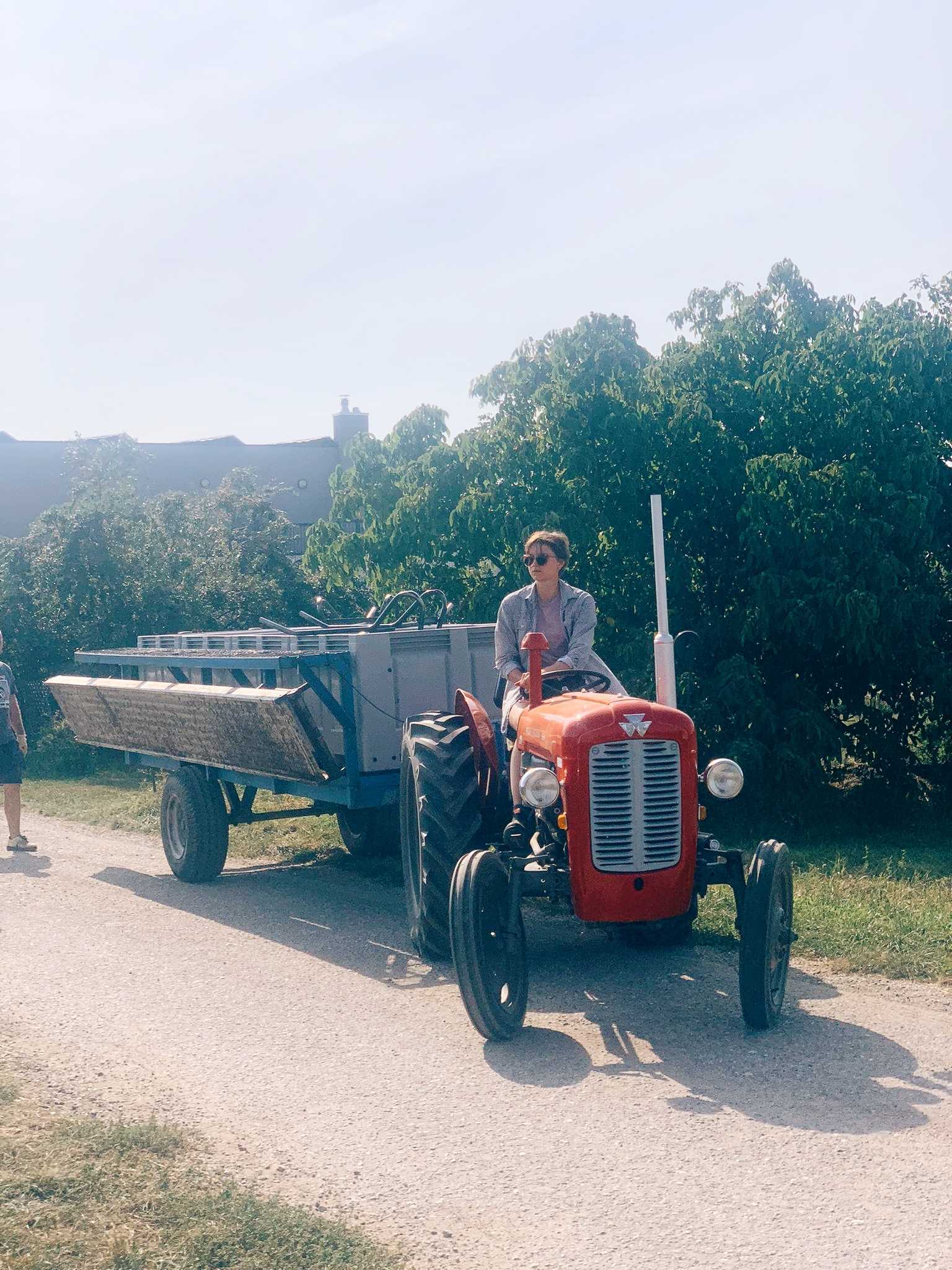 Tractor, vintage Rennersistas