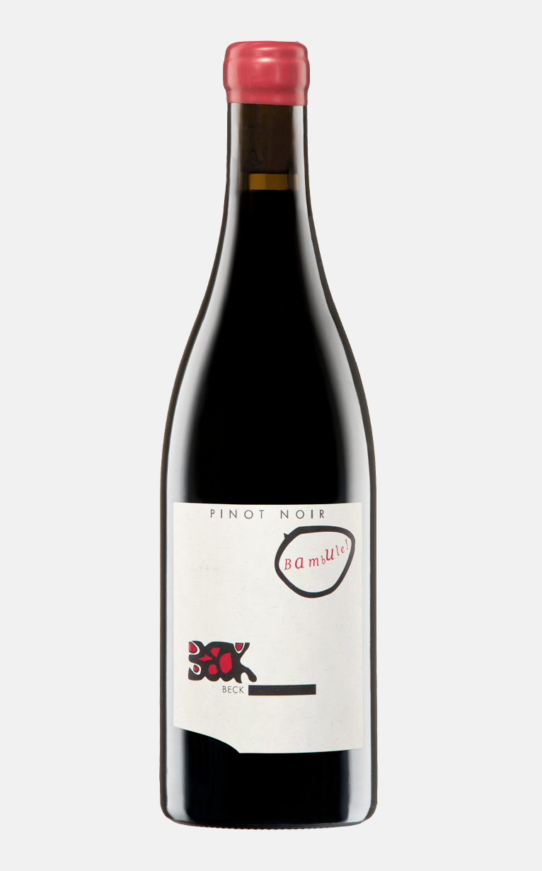 pinot noir bambule judith beck