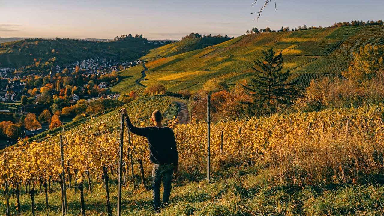 Weingarten Kleines Gut