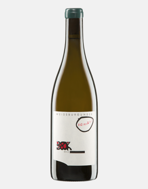 Bambule Pinot Blanc from Judith Beck