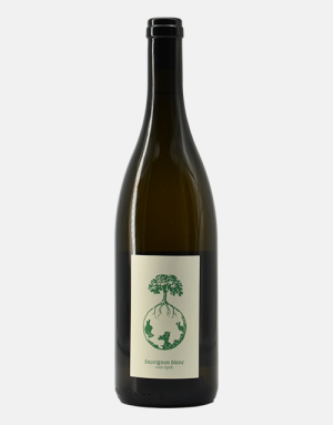 Product preview_SauvignonOpok (2)