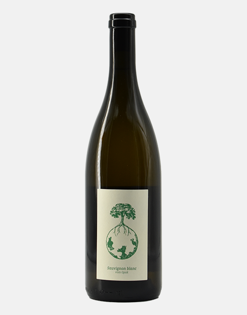FREUDE by Werlitsch - buy natural wines online | 8greenbottles