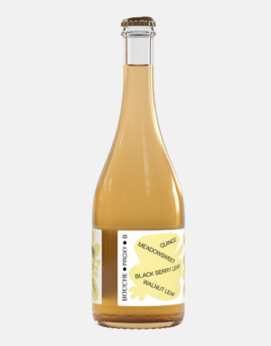 proxy b bouche alcohol-free wine alternative