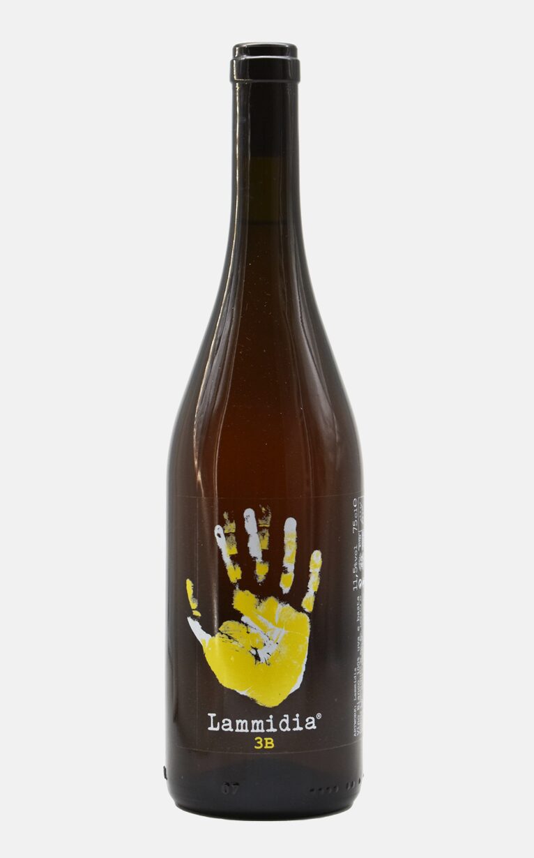 3B treb lammidia naturweine orangewein