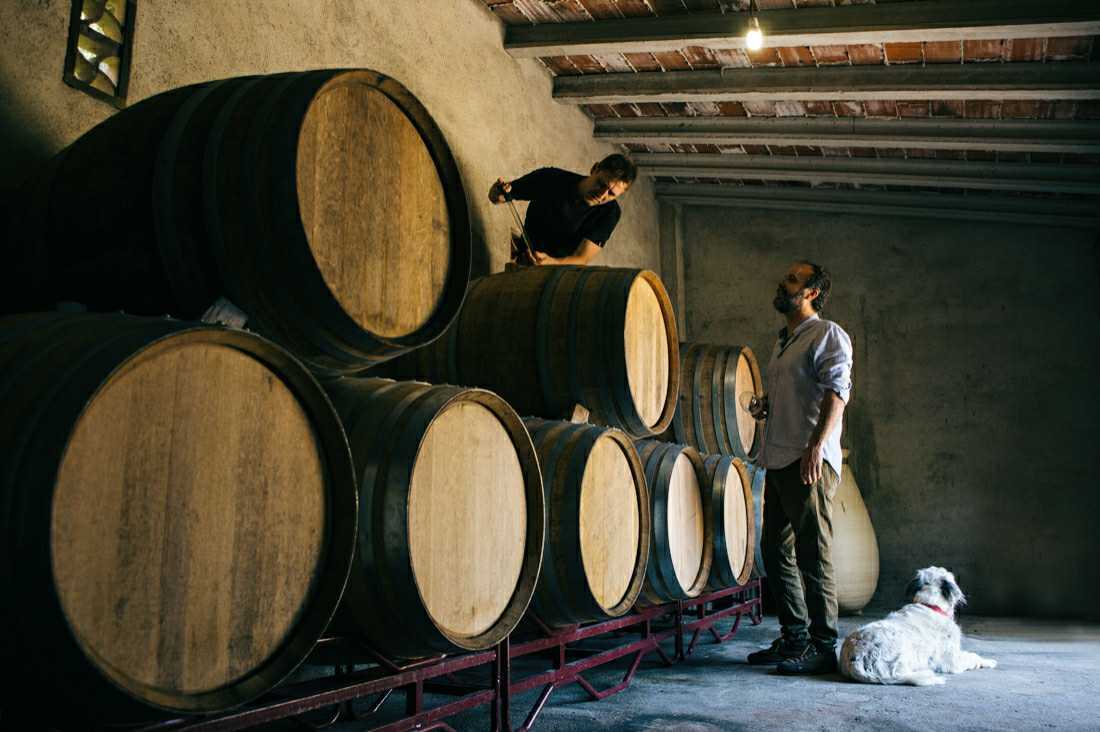 Amós Bañeres natural wines naturweine