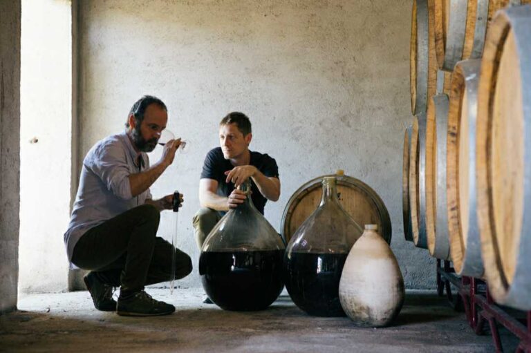 Els Vinyerons natural wines natural wines