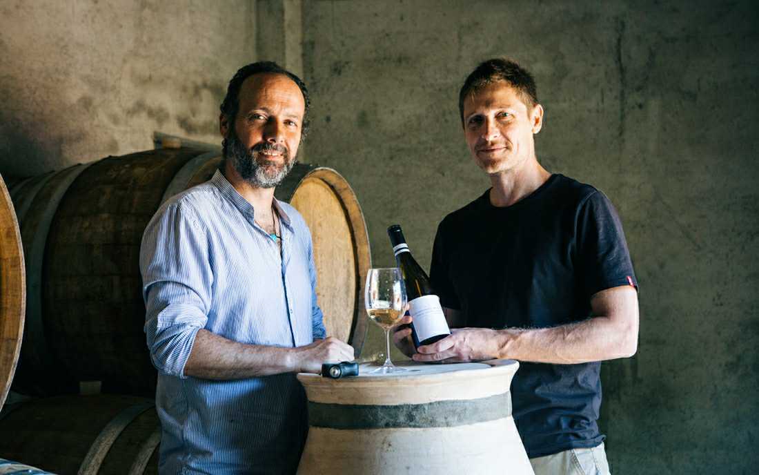 Els Vinyerons natural wines natural wines
