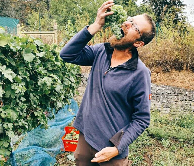 Zarathustra Wines natural wine sparkling wine Saale-Unstrut