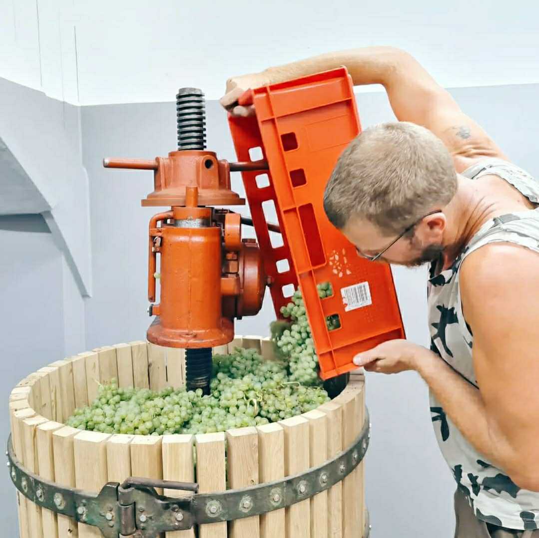 Zarathustra Wines natural wine sparkling wine Saale-Unstrut