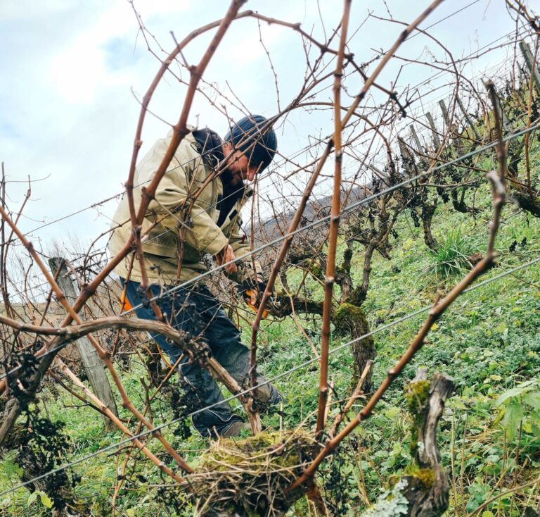 patrice beguet the big bunch theory