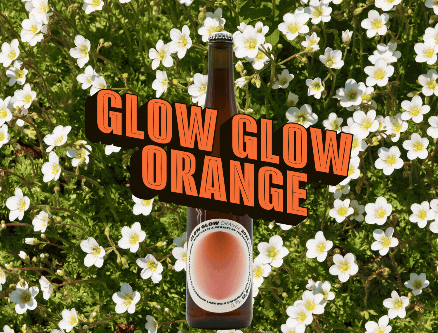 glow glow orange